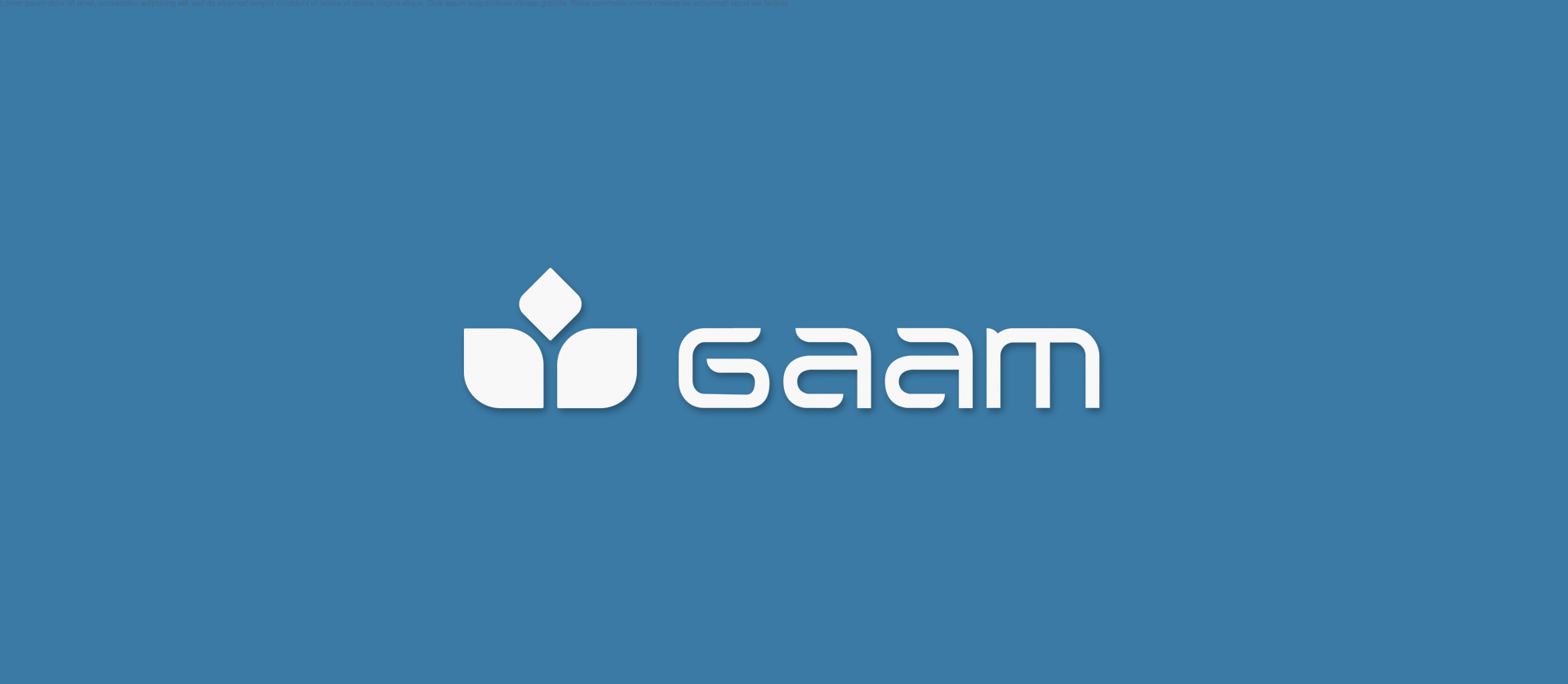 (c) Gaam.com.br